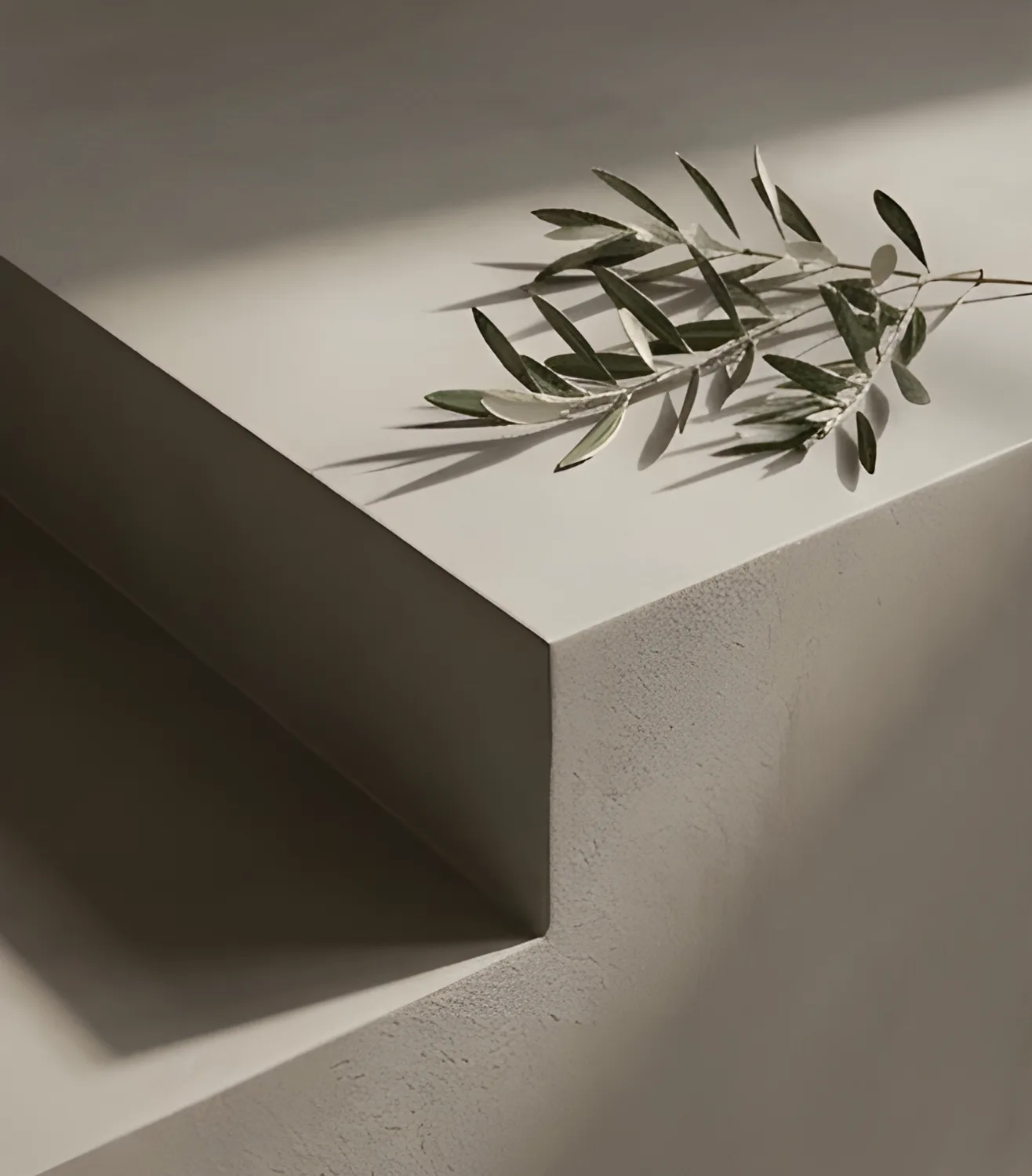 Detail einer Mikrozement-Oberfläche mit sanften Kanten und einer Olive